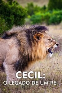 Cecil: O Legado de um Rei 1 Cecil: O Legado de um Rei