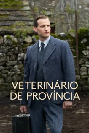 Homem jovem de terno clássico cinza e gravata, com maleta, em cenário campestre com muro de pedra. Olhar sério.