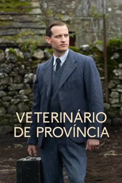 Homem jovem de terno clássico cinza e gravata, com maleta, em cenário campestre com muro de pedra. Olhar sério.