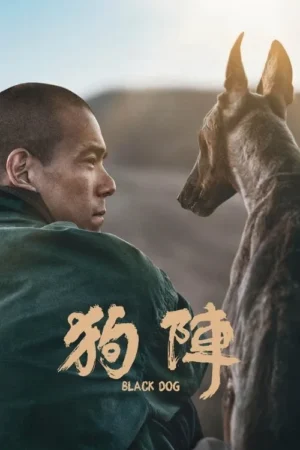 Um homem e um cão se encaram em um cenário desértico ao pôr do sol. O homem veste uma jaqueta escura.