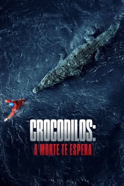Vista aérea: Um crocodilo gigante nada em águas escuras, aproximando-se de uma pessoa de roupa vermelha. Transmite perigo e suspense.