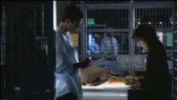 CSI:Miami – T01E07:Breathless