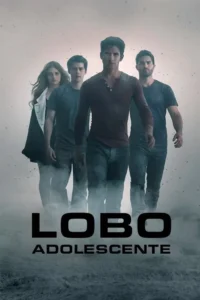 lobo adolescente