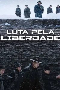 luta pela liberdade