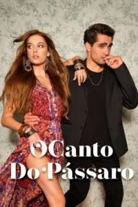 o canto do passaro
