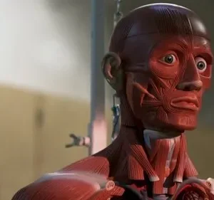 Sobrenatural – T06E14: Manequim 3: O Confronto