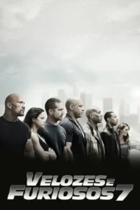 Velozes &Furiosos 7