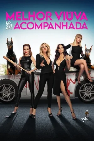 Quatro mulheres elegantes de preto com dois dobermans e um bastão/faca, posam sobre carro branco rabiscado. Clima de comédia de ação.