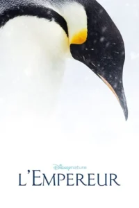 Close-up de pinguim-imperador de cabeça baixa,com neve caindo sobre fundo branco. Pelagem preta,branca e detalhes amarelos no pescoço.