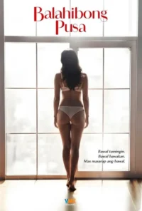 Pôster:Mulher de lingerie clara,de costas,diante de uma janela grande e brilhante. Imagem íntima e sensual.