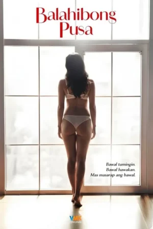 Pôster: Mulher de lingerie clara, de costas, diante de uma janela grande e brilhante. Imagem íntima e sensual.