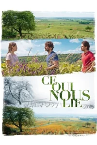 Pôster de filme com três pessoas em campo verde; paisagens de vinhedos em verão, inverno e outono. Clima contemplativo.