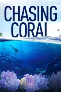 Em Busca dos Corais 4 Pôster dividido entre céu azul claro e um oceano vibrante com um mergulhador. Corais coloridos e peixes preenchem o fundo do mar.