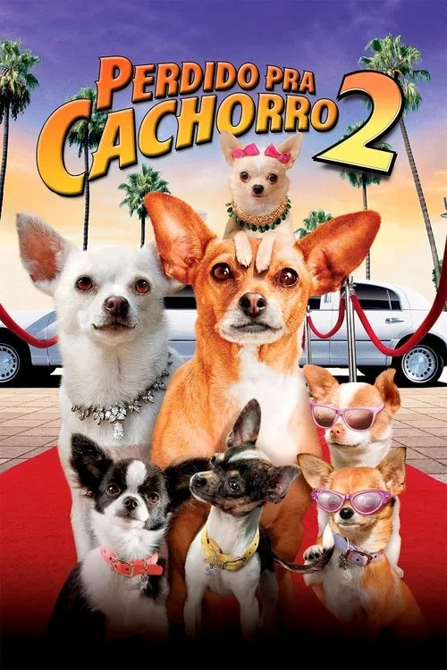 Múltiplos chihuahuas em um tapete vermelho, alguns com óculos de sol e joias, com limusine e palmeiras ao fundo. Clima divertido.