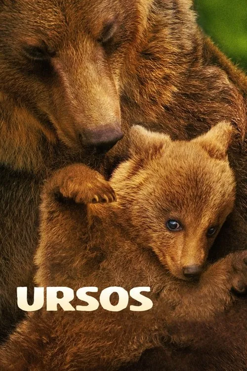 Ursos 1 Um filhote de urso marrom com olhos azuis brilhantes aninhado junto a um urso adulto dormindo. Ambiente natural e carinhoso.