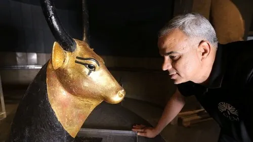 Homem com camisa preta examina um busto dourado de touro com chifres pretos e olhos egípcios. Fundo escuro,clima de descoberta.