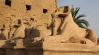 Estátuas monumentais de esfinges com cabeça de carneiro em fila, diante de ruínas de templo sob sol forte.