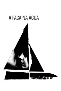 Pôster P&B. Silhueta de barco a vela com um rosto masculino parcialmente em sombra na vela principal. Clima misterioso e austero.