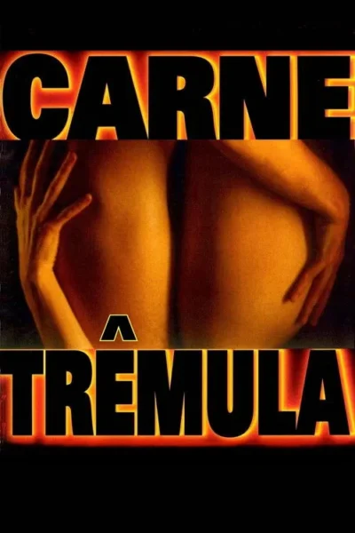 Close-up das costas e nádegas de uma pessoa nua, com mãos tocando. Iluminação quente cria um clima íntimo.