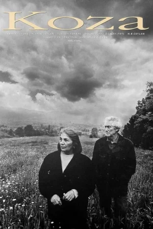 Pôster P&B: Casal idoso em campo aberto sob céu escuro e nublado. Olham para o lado com ar pensativo. Clima melancólico.