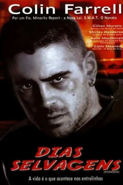 Pôster: Homem com barba rala e olhar penetrante domina o centro. Fundo escuro e desfocado com tons quentes avermelhados. Ambiente sombrio e tenso.