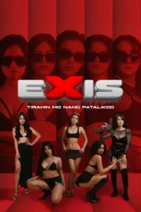 Pôster vibrante em vermelho. Cinco mulheres sérias de óculos escuros no topo. Abaixo,cinco mulheres em trajes mínimos e poses desafiadoras,algumas com armas.