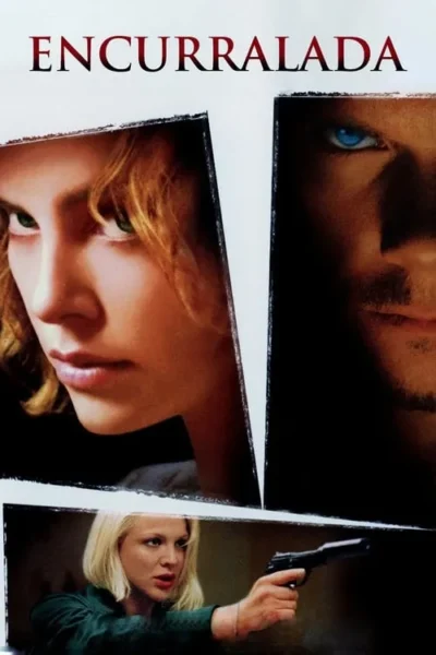 Pôster fragmentado. Cima: closes de mulher e homem com olhares intensos. Baixo: mulher loira mira uma arma. Sugere suspense e ação.