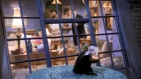 Friends – T01E19: Aquele em que o Macaco Foge