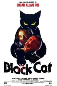 Pôster:Grande silhueta de gato preto com olhos amarelos. Dois rostos humanos aterrorizados,um gritando,outro grotesco,surgem no corpo do gato. Horror.