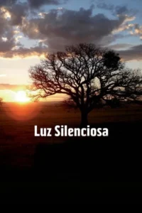 Grande árvore seca em silhueta num campo vasto ao pôr do sol. O céu tem nuvens escuras no topo e um brilho laranja no horizonte. Clima sereno.