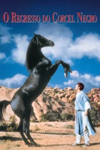 Um cavalo preto empina, imponente, diante de um jovem que o observa. Cenário rochoso árido e céu azul claro com nuvens.