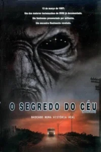 Pôster: Rosto alienígena cinza e rugoso com olhos estrelados domina a imagem. Abaixo, uma van ilumina uma estrada rural escura ao anoitecer. Clima de mistério.