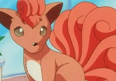 Animal laranja-acastanhado, parecido com uma raposa, com seis caudas encaracoladas e orelhas pontudas. Olhos curiosos, sentado em um quarto claro com planta.