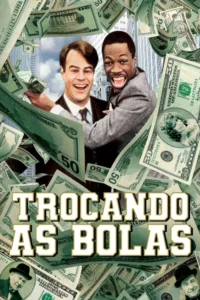 Pôster com dois homens felizes em ternos,um branco e um negro,entre uma chuva de notas de dólar. Fundo de cidade,clima alegre.