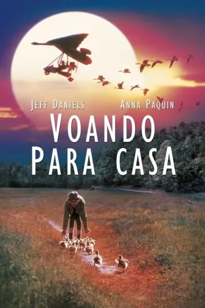 Criança em campo guia patinhos. Ultraleve e pássaros voam contra um sol brilhante em céu alaranjado e azul.