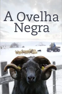 Pôster. Um carneiro de chifres escuros no primeiro plano,olhando intensamente. Fundo nevado com ovelhas,cão e pessoas em um ATV.