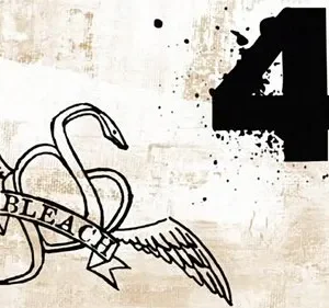 Bleach – T01E04: O Periquito Amaldiçoado