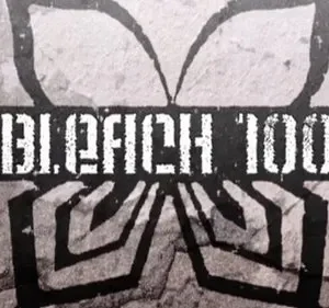 Bleach – T01E100: A Suì-Feng morre? As últimas da Unidade Força Especiais