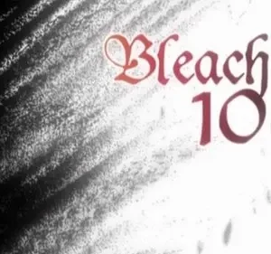 Bleach – T01E108: A lamúria dos Bounts! O último embate