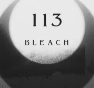 Bleach – T01E113: O prelúdio do apocalipse: a ofensiva arrancar!