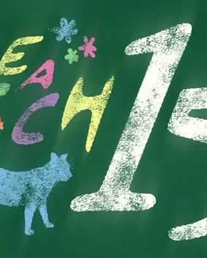 Pôster com arte de giz em quadro-negro verde. Um gato azul, letras coloridas, o número 15 branco, e flores/estrelas, clima nostálgico.