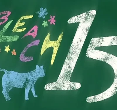 Pôster com arte de giz em quadro-negro verde. Um gato azul, letras coloridas, o número 15 branco, e flores/estrelas, clima nostálgico.