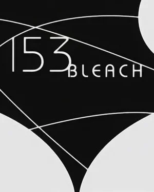 Bleach – T01E153: A pesquisa demoníaca! O plano do Szayelaporro