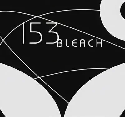 Bleach – T01E153: A pesquisa demoníaca! O plano do Szayelaporro