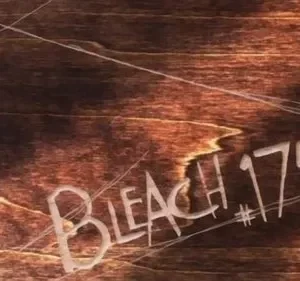 Bleach – T01E175: O assassino vingativo: o alvo é Ichigo