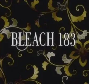 Bleach – T01E183: A escuridão que se move! A verdadeira essência de Kibune