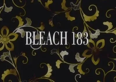 Bleach – T01E183: A escuridão que se move! A verdadeira essência de Kibune