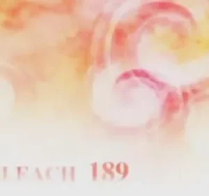 Bleach – T01E189: O orgulho do Deus da Morte decaído
