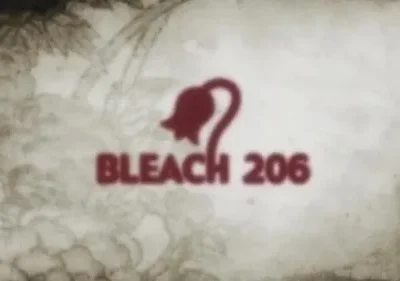 Bleach – T01E206: A História do passado começa! A verdade de 110 anos atrás