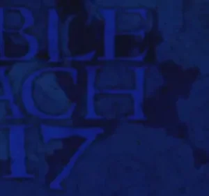 Bleach – T01E217: A bela e pequena Charlotte